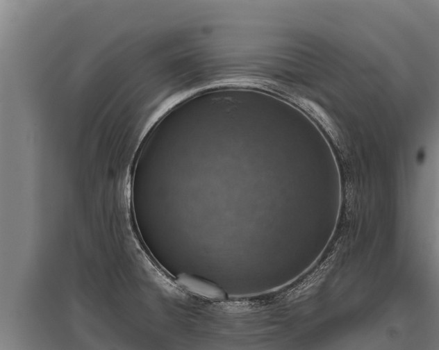 X0000095951428200801181413
