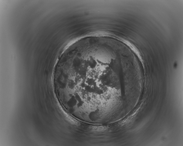 X0000095951429200801181413