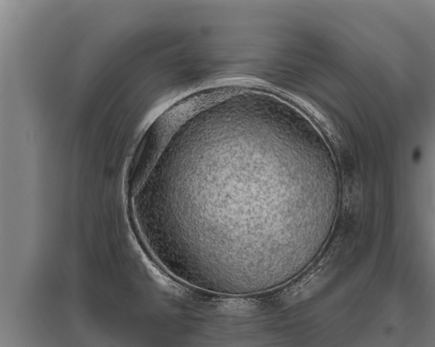 X0000095951430200801181413