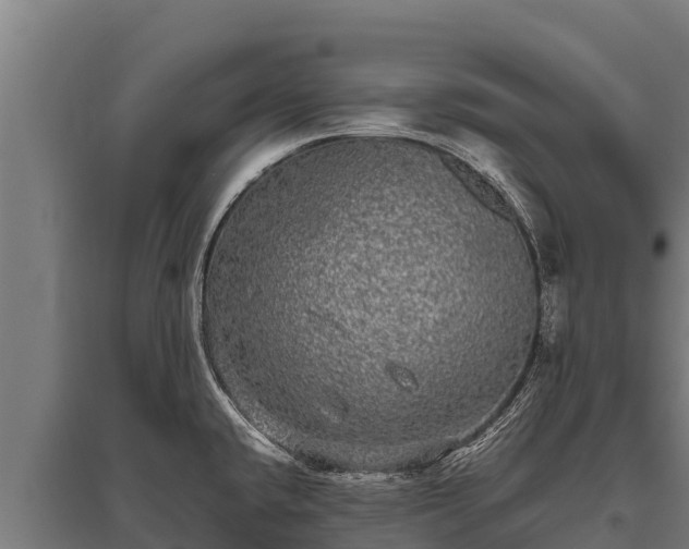 X0000095951432200801181413