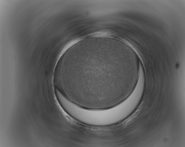 X0000095951434200801181413