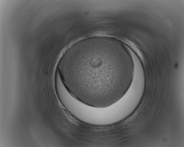 X0000095951435200801181413