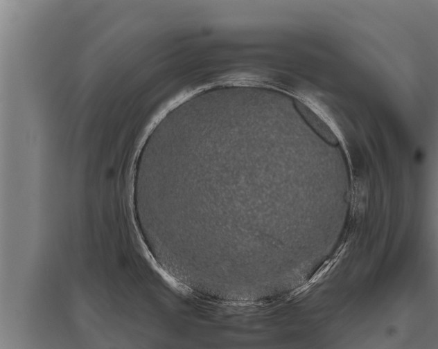 X0000095951437200801181413