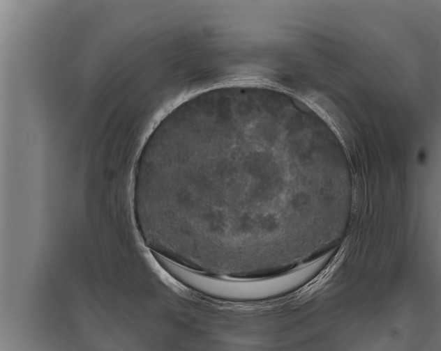 X0000095951438200801181413
