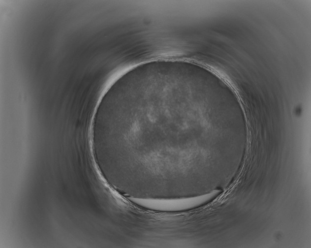 X0000095951440200801181413