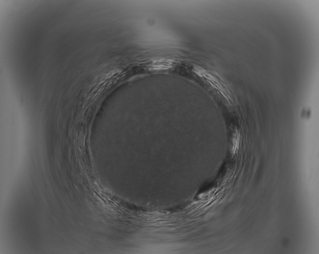 X0000095951441200801181412