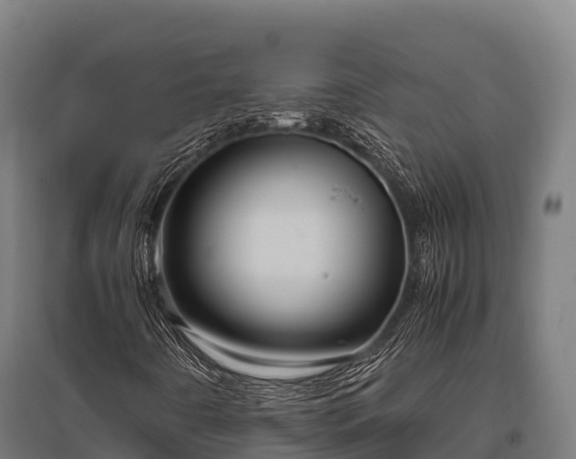 X0000095951442200801181412