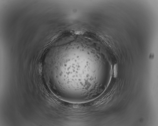 X0000095951443200801181412