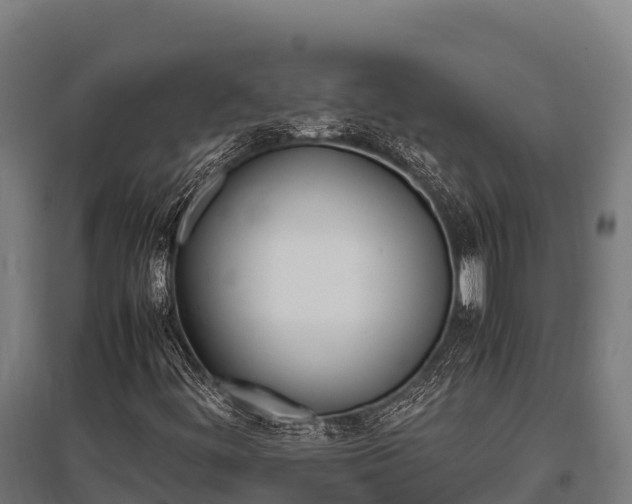 X0000095951444200801181412