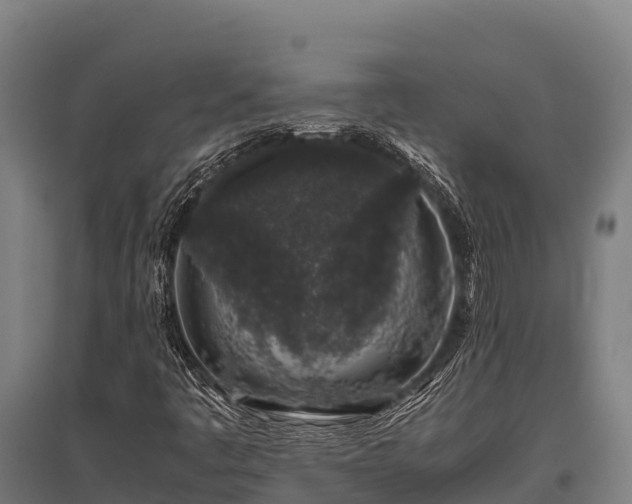 X0000095951445200801181412