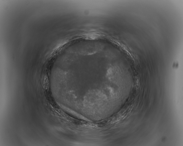 X0000095951446200801181412