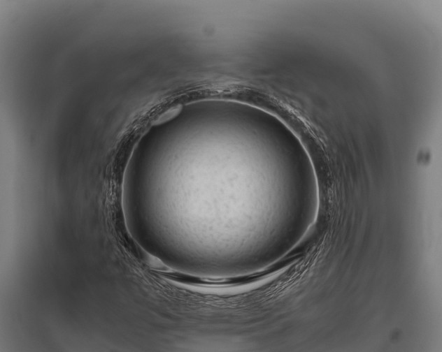 X0000095951447200801181412