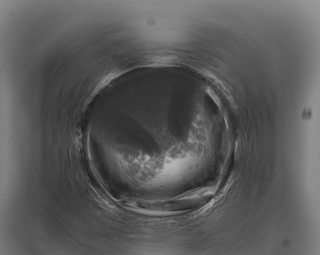 X0000095951449200801181412