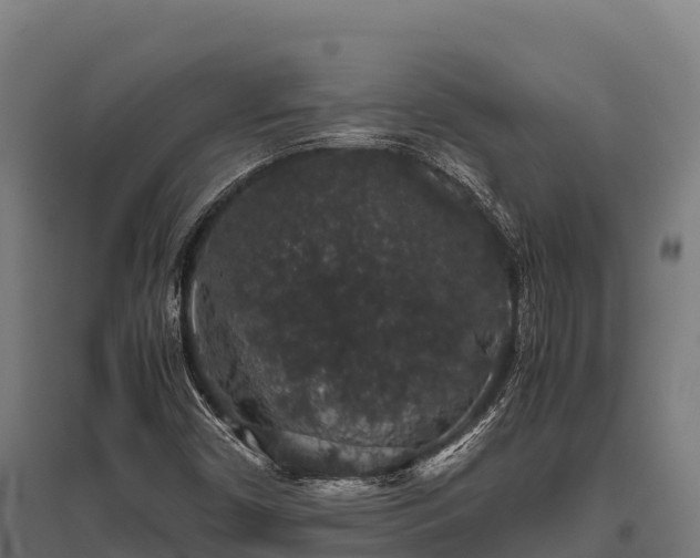 X0000095951450200801181412