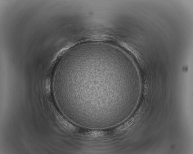 X0000095951451200801181412