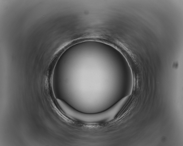 X0000095951452200801181412