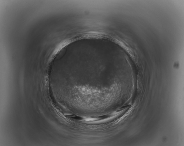 X0000095951453200801181412