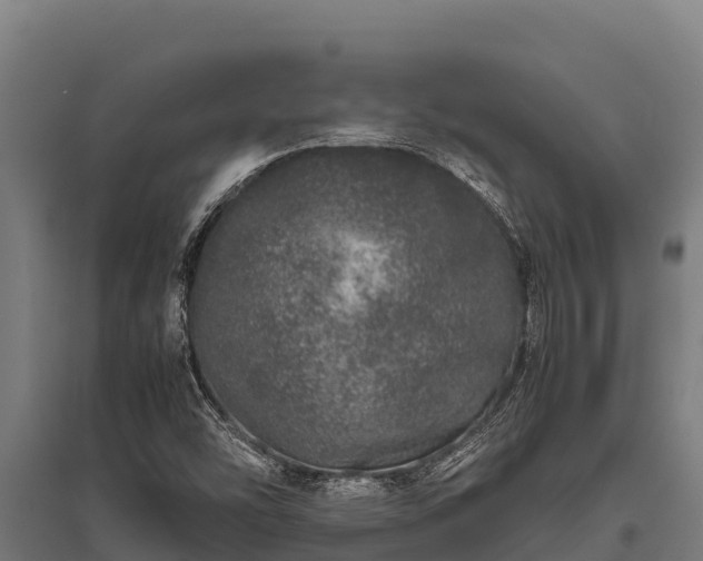 X0000095951454200801181412