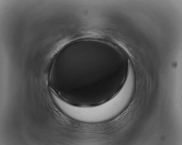 X0000095951455200801181412