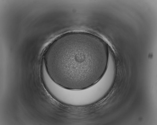 X0000095951456200801181412