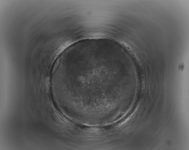 X0000095951457200801181412