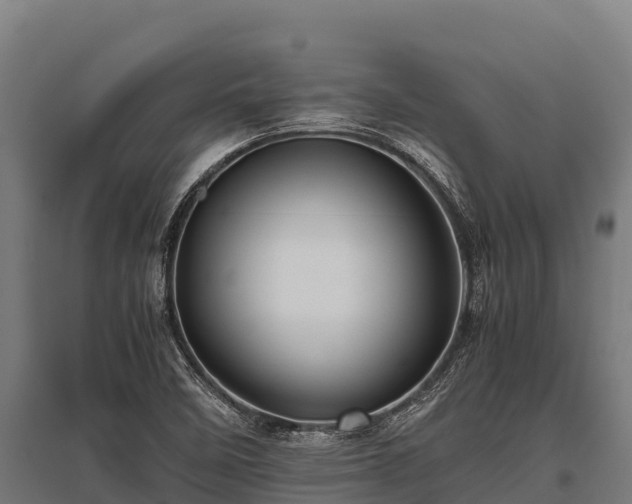 X0000095951458200801181412