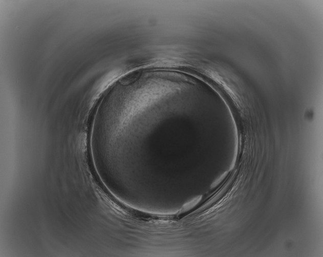 X0000095951459200801181412
