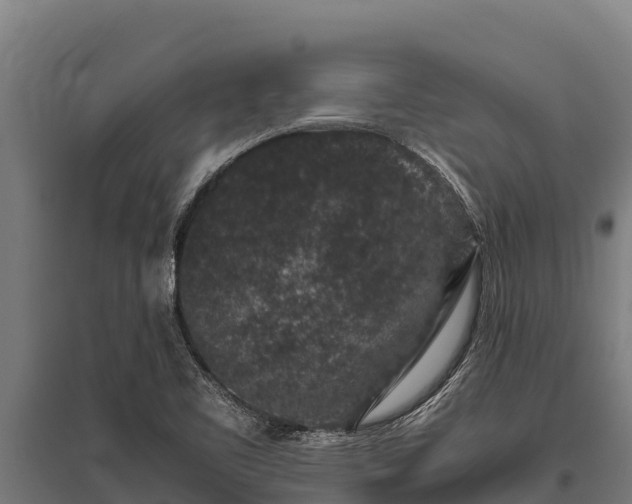 X0000095951461200801181412