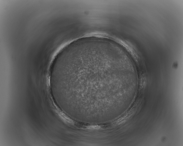 X0000095951462200801181412