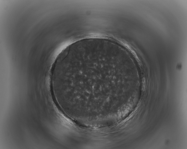 X0000095951463200801181412