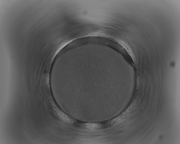 X0000095951465200801181412