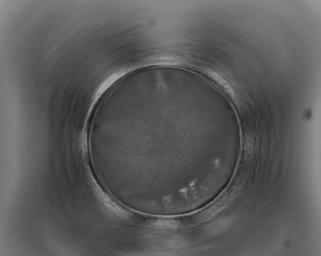 X0000095951466200801181412