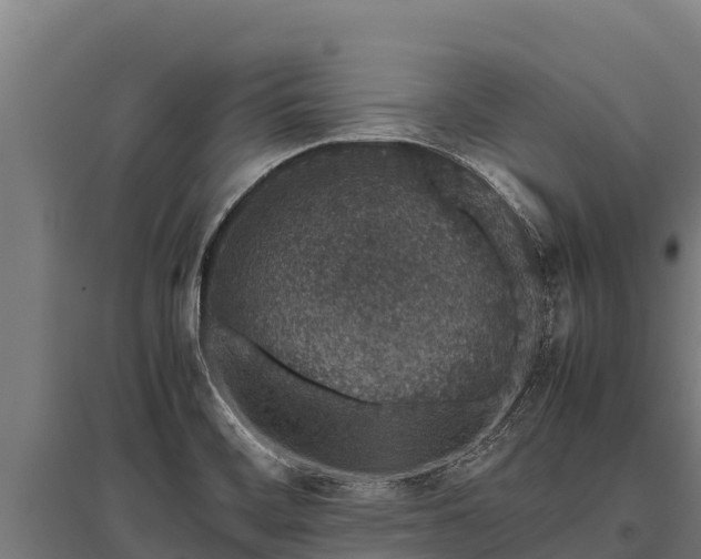 X0000095951468200801181412