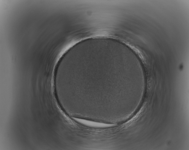 X0000095951469200801181412