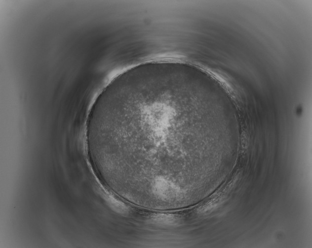 X0000095951470200801181412