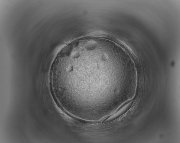 X0000095951471200801181412