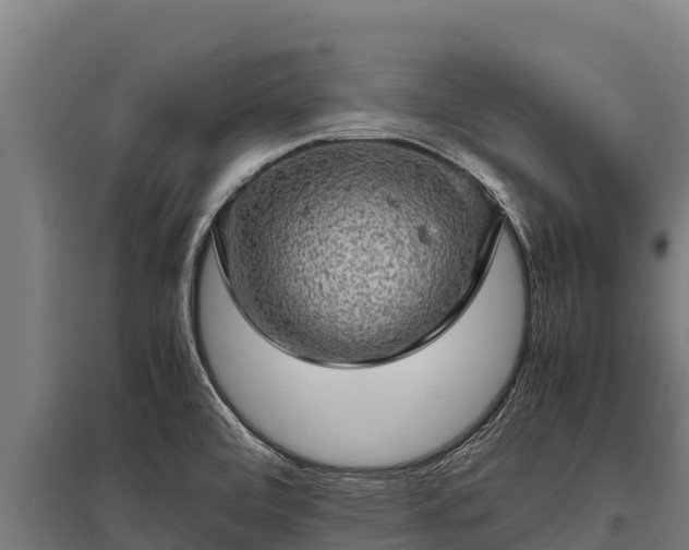 X0000095951472200801181412