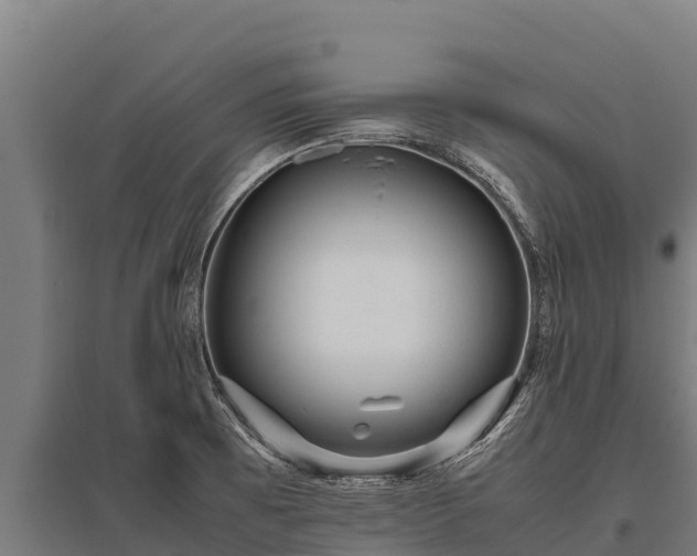 X0000095951473200801181412