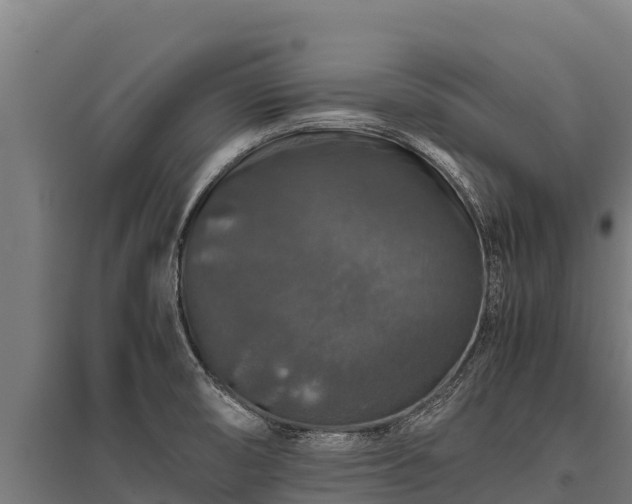 X0000095951474200801181412