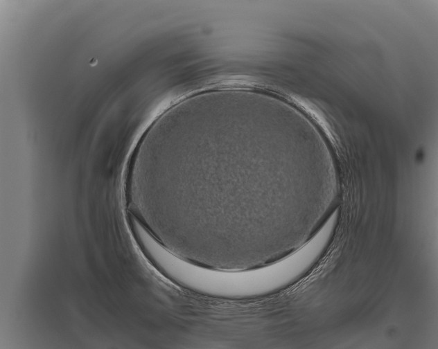 X0000095951475200801181412
