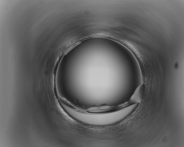 X0000095951476200801181412