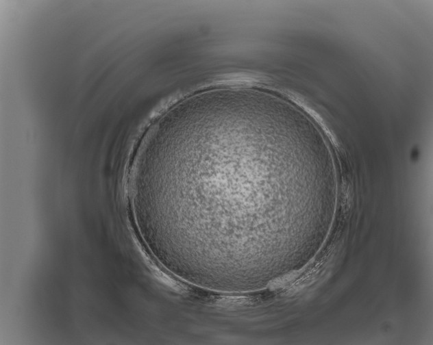 X0000095951477200801181412