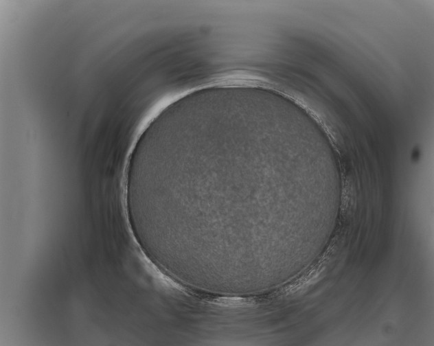X0000095951478200801181412