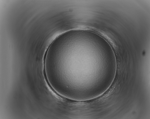 X0000095951479200801181412