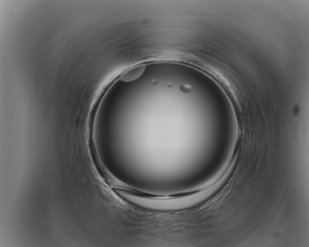 X0000095951480200801181412