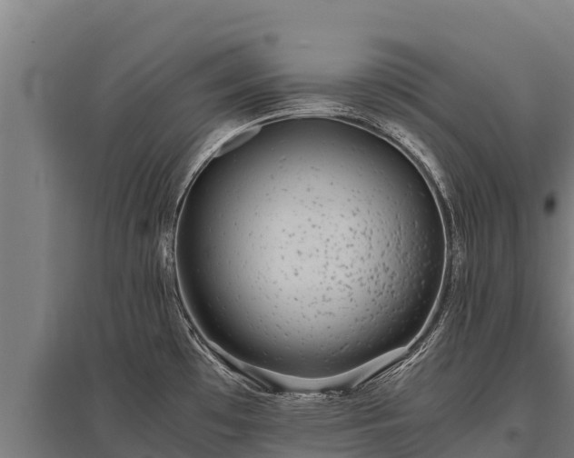 X0000095951481200801181412