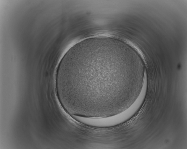 X0000095951483200801181412