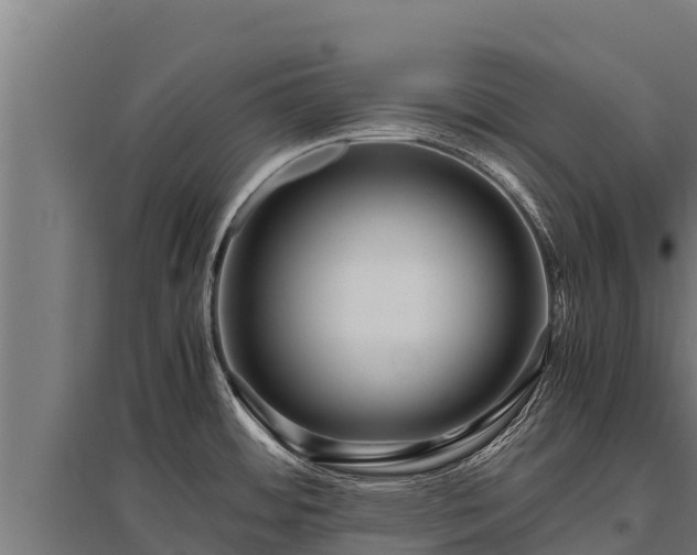 X0000095951484200801181412