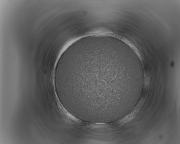 X0000095951486200801181412