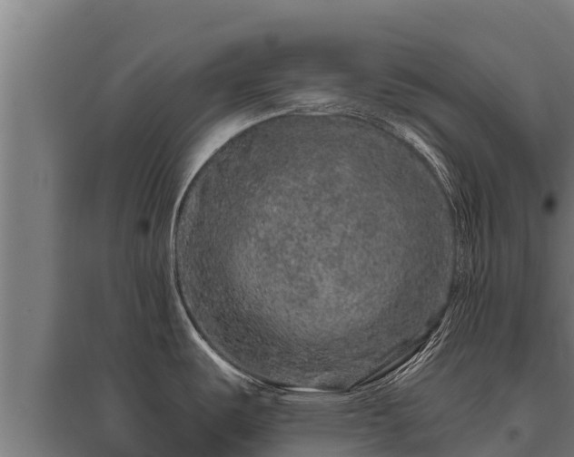 X0000095951487200801181412